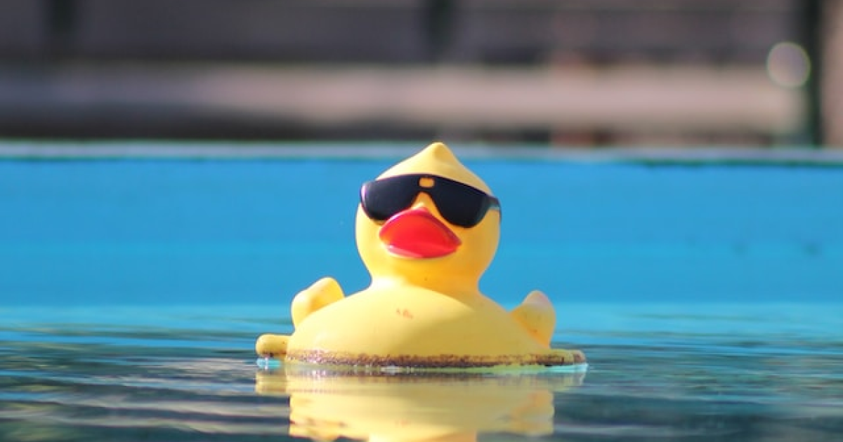 Photo: a yellow rubber duck wearing sunglasses floating in a pool.